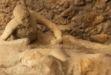 Pompeya Bombshell revela que los romanos regresaron a la ciudad en ruinas después de que fue destruida como una evidencia impresionante de la vida encontrada