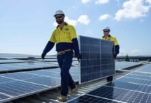Sunshine State está contento con la exportación de energía solar en la cubierta más alta y el nivel de reducción en la circulación.