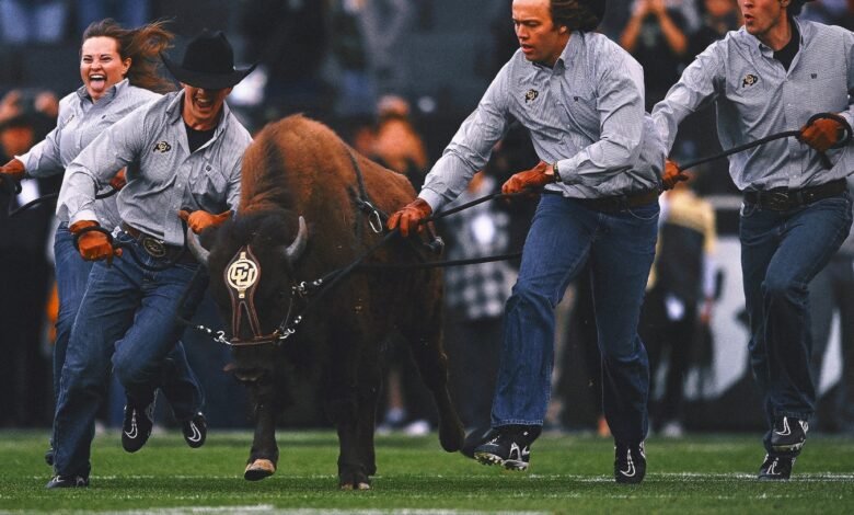 La mascota directa de Colorado Ralphie VI retirada, el reemplazo todavía está entrenado