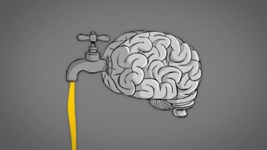 ¿Qué vale la idea? Cómo los pensadores prominentes entienden la propiedad intelectual