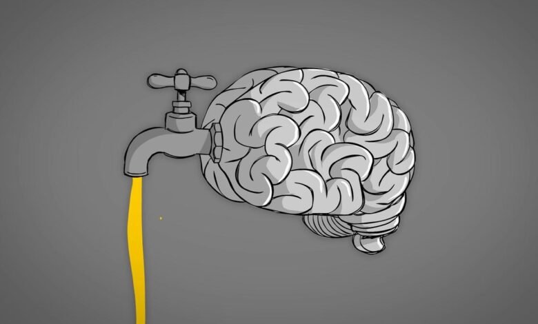 ¿Qué vale la idea? Cómo los pensadores prominentes entienden la propiedad intelectual ¿Qué vale la idea? Cómo los pensadores prominentes entienden la propiedad intelectual