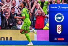 ¡Escena! El tiempo de parada de Muniz ayudó a Fulham a arrebatar a Brighton