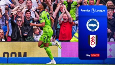 ¡Escena! El tiempo de parada de Muniz ayudó a Fulham a arrebatar a Brighton