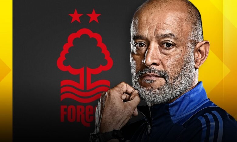 Se espera que el bosque esté disponible en la Europa League después de que el palacio atractivo fracasara