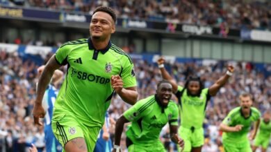 Brighton 1 – 1 Fulham