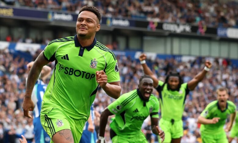 Brighton 1 – 1 Fulham