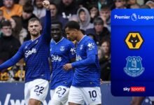 Las estrellas greealish nuevamente cuando Everton siguió sufriendo en lobos