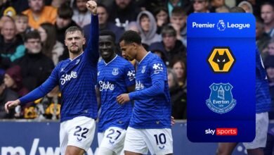 Las estrellas greealish nuevamente cuando Everton siguió sufriendo en lobos
