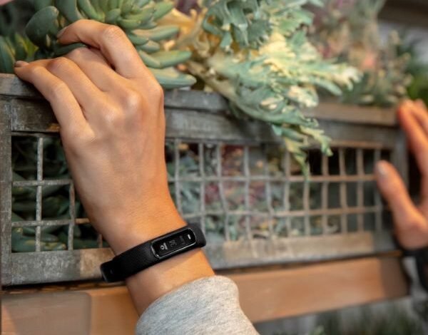 ¿Es efectivo el seguimiento del estrés de Smartwatch? La investigación dice que no ¿Es efectivo el seguimiento del estrés de Smartwatch? La investigación dice que no