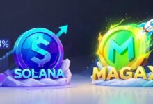 Solana vs. Magax: dos caminos hacia el crecimiento en el mercado alcista