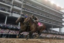 2025 Travers aptas, perspectiva, actualización: los mejores caballos para apuntar a Saratoga.