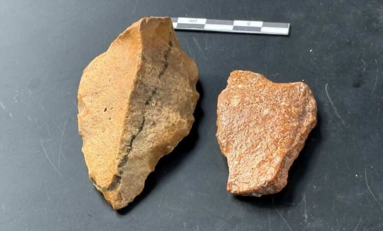 Nuevas pistas para los misteriosos humanos extintos y antiguos ‘hobbit’ que deambulan por la Tierra hace 1 millón de años descubiertos por científicos Nuevas pistas para los misteriosos humanos extintos y antiguos ‘hobbit’ que deambulan por la Tierra hace 1 millón de años descubiertos por científicos