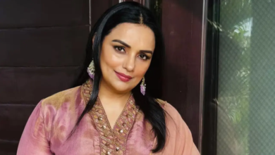 Debate de Shweta Menon: Kerala ordena permanecer intermedio en actividades de HC