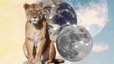 Cómo la puerta de Assad afectará su signo del zodiaco