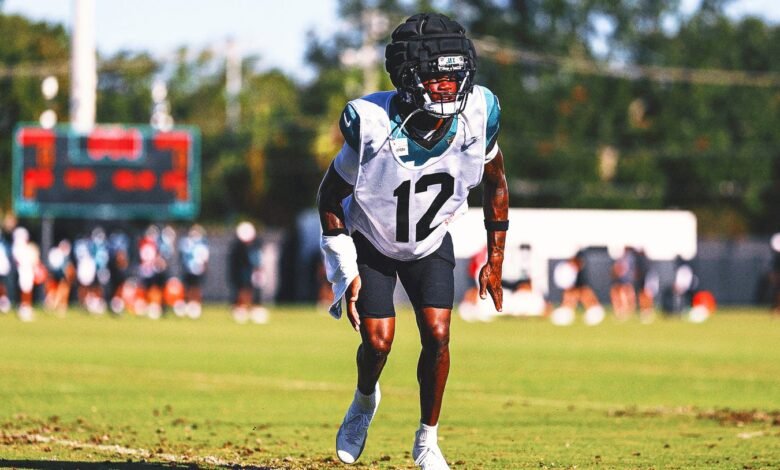 2025 AFC South Player Especiales: ¿los principales novatos estarán dominados en el primer año? 2025 AFC South Player Especiales: ¿los principales novatos estarán dominados en el primer año?