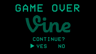 Elon Musk dice que está trayendo el archivo de Vine