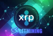 XRP está ganando una creciente popularidad en las finanzas corporativas, con rendimientos diarios de $ 5,880 a través del servicio de minería en la nube Let Mining.