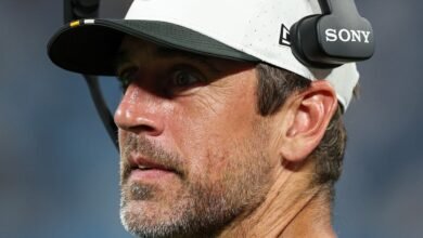 Aaron Rodgers, Cam Heyward enterró el hacha (tipo)