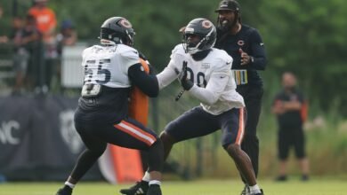 Dayo Odeyingbo de los Bears: Ben Johnson es un perfeccionista, exigente y lo que necesitamos