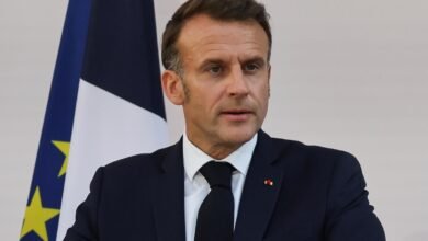La principal corte de Francia ataca por la cláusula de pesticidas en la ley de agricultura