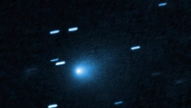 El telescopio espacial Hubble toma una foto de Comet visitando desde otro sistema solar