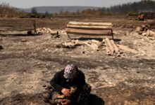 El cambio climático hizo que los incendios forestales mortales en Turquía, Grecia y Chipre sean más feroces, el estudio encuentra