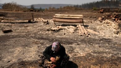 El cambio climático hizo que los incendios forestales mortales en Turquía, Grecia y Chipre sean más feroces, el estudio encuentra