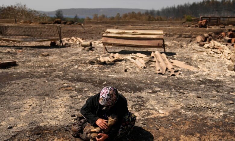 El cambio climático hizo que los incendios forestales mortales en Turquía, Grecia y Chipre sean más feroces, el estudio encuentra El cambio climático hizo que los incendios forestales mortales en Turquía, Grecia y Chipre sean más feroces, el estudio encuentra