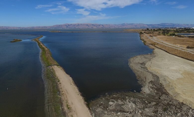 Comunidades costeras que restauran marismas, dunas, arrecifes para proteger contra el aumento de los mares Comunidades costeras que restauran marismas, dunas, arrecifes para proteger contra el aumento de los mares
