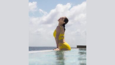 Paradise, Perfected – Redif.com Películas