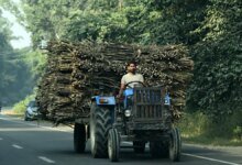 El gobierno indio es libre de decidir producir etanol.