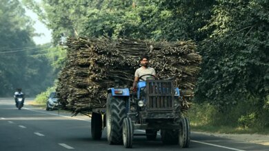 El gobierno indio es libre de decidir producir etanol.