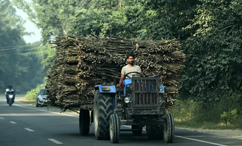 El gobierno indio es libre de decidir producir etanol. El gobierno indio es libre de decidir producir etanol.