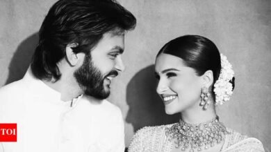 El héroe ha hecho oficial la relación de la colina porque mira la mano de Sutaria en sus ojos, los internautas dicen: “Ahora no es heroico”: las imágenes están dentro. Noticias de la película hindi