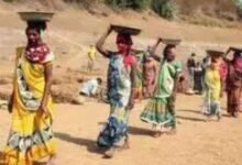 Mgnregs La demanda laboral se desploma en más del 25%