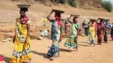Mgnregs La demanda laboral se desploma en más del 25%