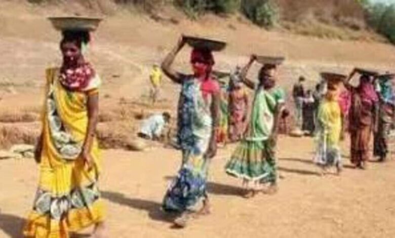 Mgnregs La demanda laboral se desploma en más del 25% Mgnregs La demanda laboral se desploma en más del 25%