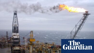 El empresario de energía verde pide al Reino Unido que subsidie ​​las empresas de petróleo y gas del Mar del Norte | Industria energética