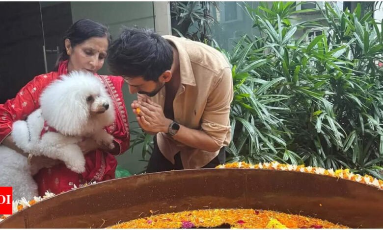 Kartik Aryan se despidió de Ganapati con la familia y las mascotas, compartiendo momentos adorables: vea las fotos. Noticias de la película hindi