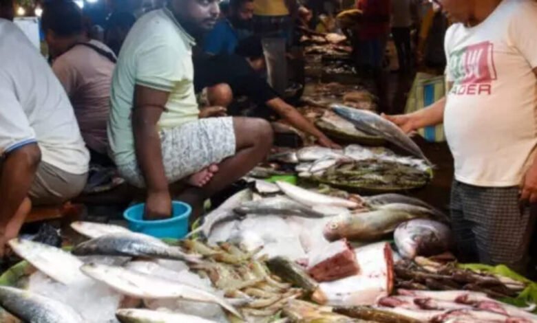 Bangladesh permitió que 1.200 toneladas de Hilsa exportara a la India antes de Durga Puja. Bangladesh permitió que 1.200 toneladas de Hilsa exportara a la India antes de Durga Puja.
