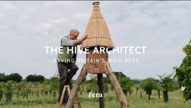 El arquitecto de la colmena: salvar abejas salvajes del Reino Unido