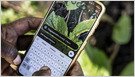 Cómo miles de agricultores a pequeña escala en Malawi están utilizando un chatbot AI respaldado por el gobierno, diseñado por la Opportunity International sin fines de lucro, para obtener asesoramiento agrícola (Gregory Gondwe/Associated Press)