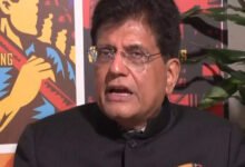 India no permitirá el redirio de bienes domésticos de EAU a nosotros: Piyush Goyal