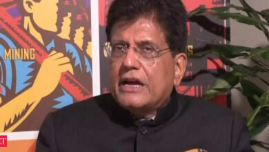 India no permitirá el redirio de bienes domésticos de EAU a nosotros: Piyush Goyal