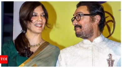 “Rina Dutt y Kiran Rao siguen siendo familiares”: Amir Khan dice que él y Gauri Sprite están juntos y están extremadamente comprometidos el uno con el otro.