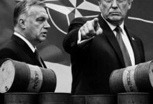 Un aliado de la OTAN se ejecuta con 80% de petróleo ruso, mientras que Trump se dirige a India