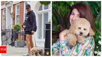 La lengua de perros mascota de Akshay Kumar se mudó de Londres a Mumbai, el personal le dio un apodo adorable; Los fanáticos lo llaman, ‘Casa de marathi común’