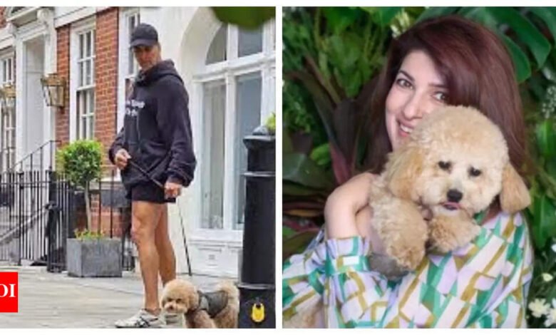 La lengua de perros mascota de Akshay Kumar se mudó de Londres a Mumbai, el personal le dio un apodo adorable; Los fanáticos lo llaman, ‘Casa de marathi común’