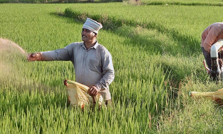 La escasez de fertilizantes tiene un impacto en la granja de Kerala. Vida rural: Ministro de Agricultura Prasad