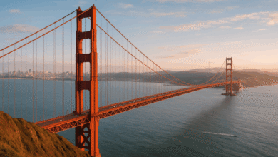Más de 201,000 puertos EV están disponibles en California en este momento.